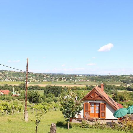 Ferienwohnung Panorama Wine & Chill Hévíz Exterior foto