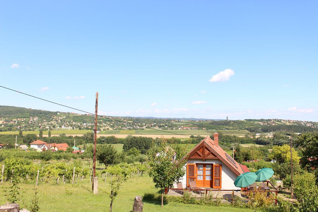 Ferienwohnung Panorama Wine & Chill Hévíz Exterior foto